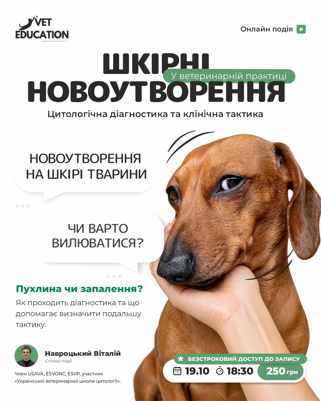 1910 навро